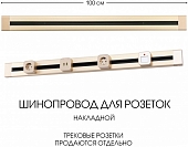 Электроустановочный шинопровод Am-track-sockets 382301TO/100 Gold 