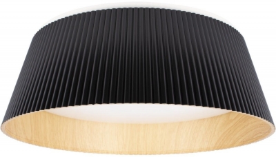 Потолочный светильник Evans 10224 Black