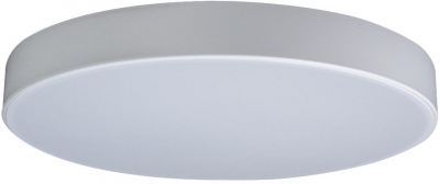 Потолочный светильник Axel 10002/24 White
