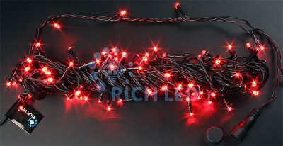 Гирлянда  RL-S10C-24V-B/R
