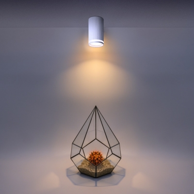 Точечный светильник Wsl-Gu10 WSL-GU10/03W