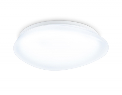 Потолочный светильник Orbital FZ1601