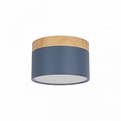 Точечный светильник Grape 10162 Blue 