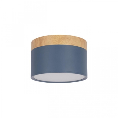 Точечный светильник Grape 10162 Blue