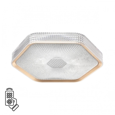 Потолочный светильник Sparks 7746/48L