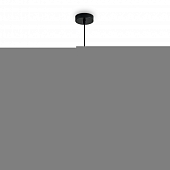 Подвесной светильник Alzare FR5595PL-01B 