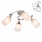 Потолочная люстра Сиерра CL119240 