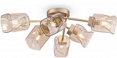 Потолочная люстра Isabella FR5095CL-06G 