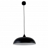 Подвесной светильник Rayzar LH032083 