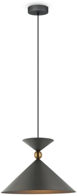 Подвесной светильник Moth FR5392PL-01GR1