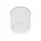 Точечный светильник  043955 