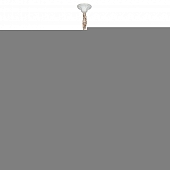 Подвесная люстра Belluno OML-79103-10 