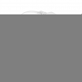 Сетевой кабель с вилкой  WPC-PCS-COB/220V 