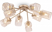 Потолочная люстра Isabella FR5095CL-08G 