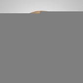 Настенный светильник  Alpo01 