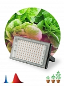 Светильник для растений  FITO-80W-RB-LED-Y 