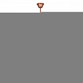 Подвесная люстра  V4876-4/1 