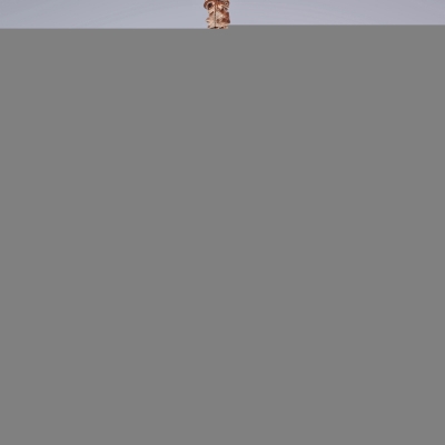 Подвесная люстра  IL2032-8PBC-25 ELITE