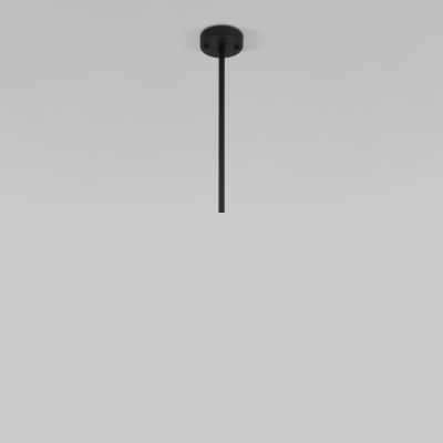 Подвесной светильник Pacific 50255/1 черный