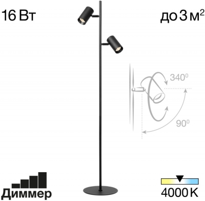 Торшер Twin CL809011N