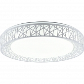 Потолочный светильник Diana TL1204X-72WH 