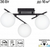 Потолочная люстра Dorsy CL223132 