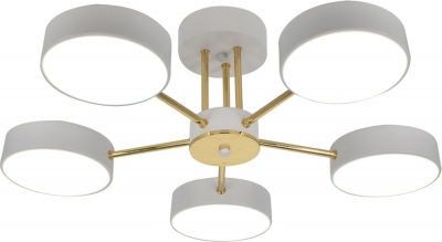 Потолочная люстра Rune 10262/5LED