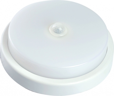 Потолочный светильник  48565