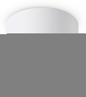 Точечный светильник Techno Spot TN5365