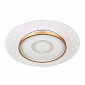 Потолочный светильник LED4U L1027-500 WH-GD 