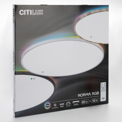 Потолочный светильник Norma CL749601