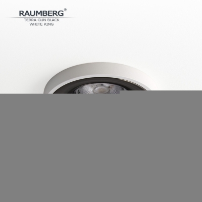 Точечный светильник Terra TerraGBk\Wh