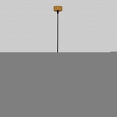 Подвесной светильник Single 50161/1 LED золото 