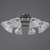 Потолочная люстра  IL0850-8CSQ-25BKAB ELITE 