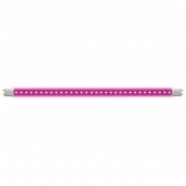 Лампочка светодиодная  LED-T8-9W/SPSB/G13/CL PLP30WH 