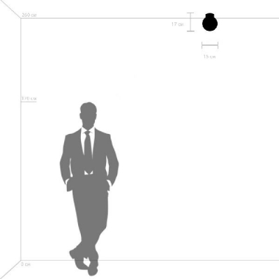 Потолочный светильник Globo 812011