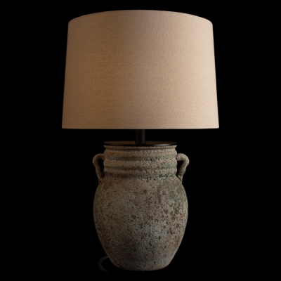 Интерьерная настольная лампа Ewer 10516T