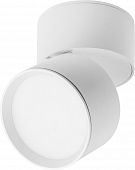 Точечный светильник Acuto 215836 