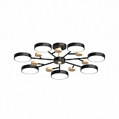 Потолочная люстра LED4U L3205-800 BK 