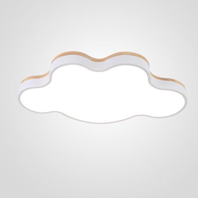 Потолочный светильник  Cloud-Eco01