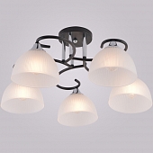 Потолочная люстра  01635-0.3-05 BK+CR 