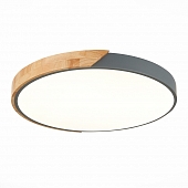 Потолочный светильник Festa SLE200972-01 