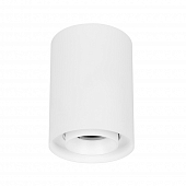 Точечный светильник FOCUS 054858 