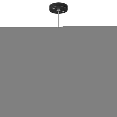 Подвесной светильник Rullo RP43730