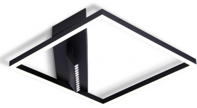 Потолочный светильник COMFORT FL51464