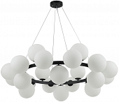 Подвесная люстра Сида 07508-24,19 
