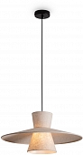 Подвесной светильник Fly FR5489PL-01BG 