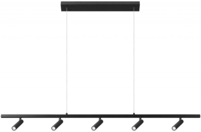 Подвесной светильник Sign 10260/5 Black