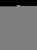 Подвесная люстра Princess MZ733137-290P 