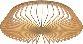 Потолочный светильник Himalaya 7967 